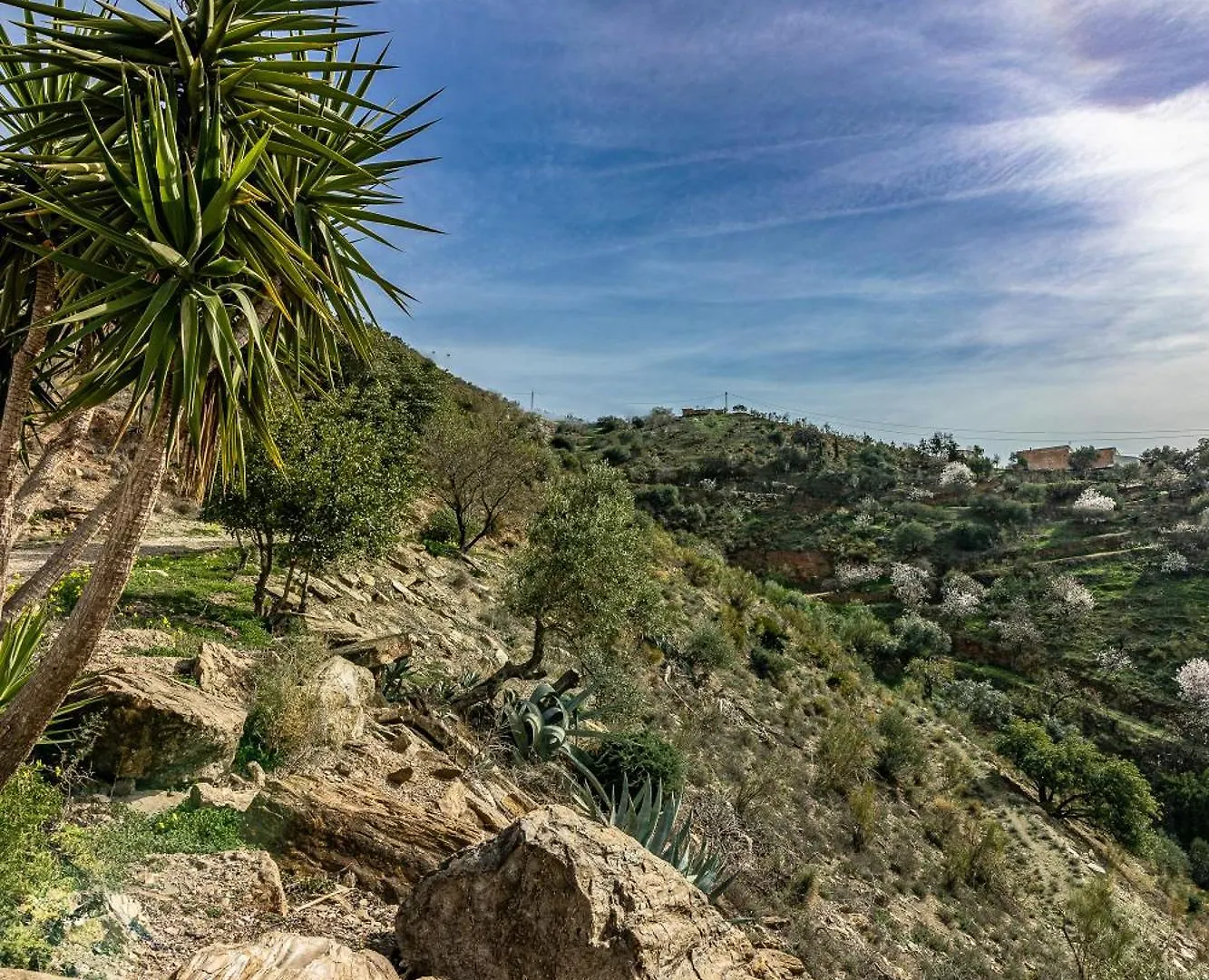 El Sueno, Cortijo Andalusi Del Siglo XIX Villa Almogia Chalet