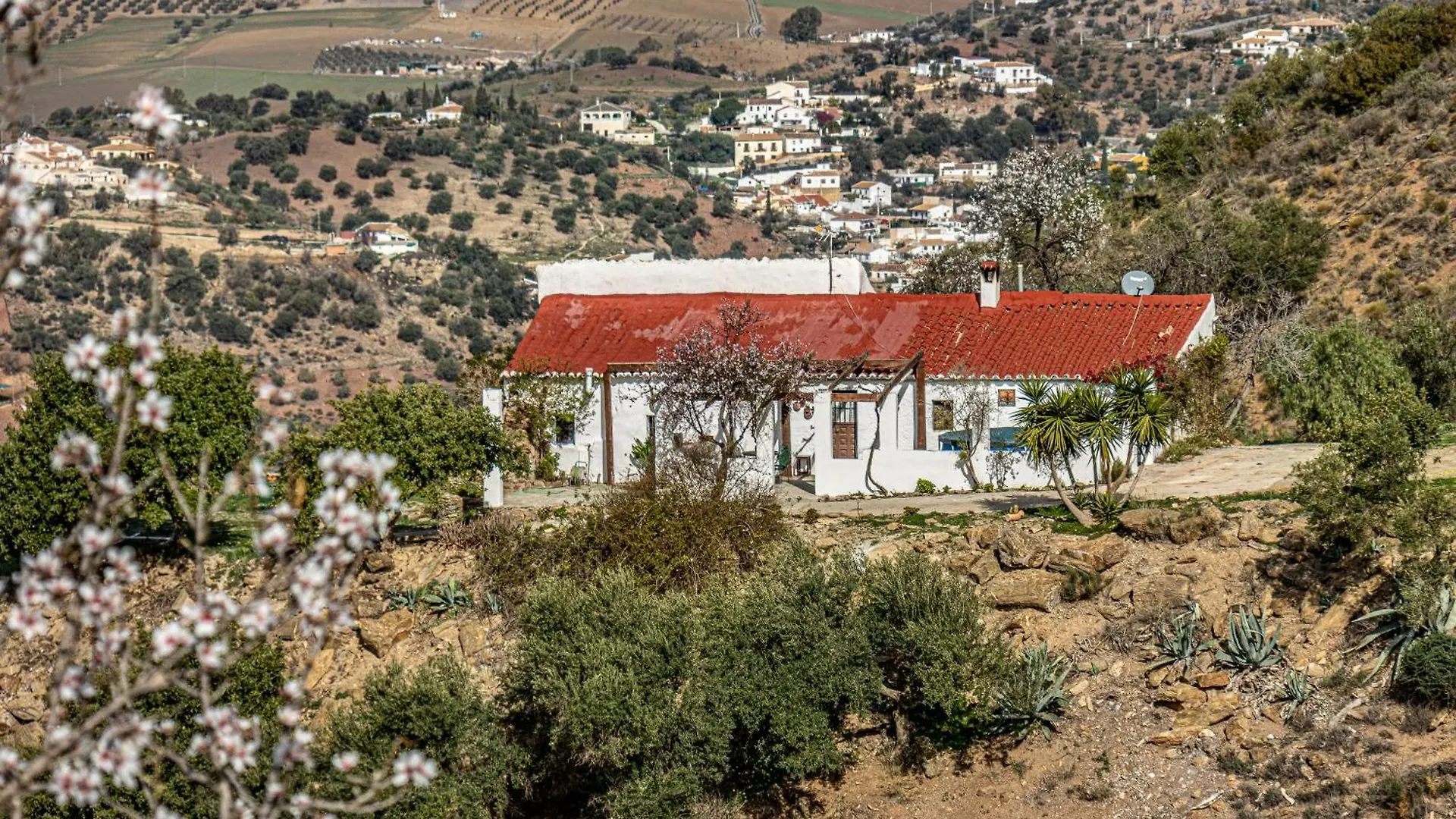 El Sueno, Cortijo Andalusi Del Siglo XIX Villa Almogia