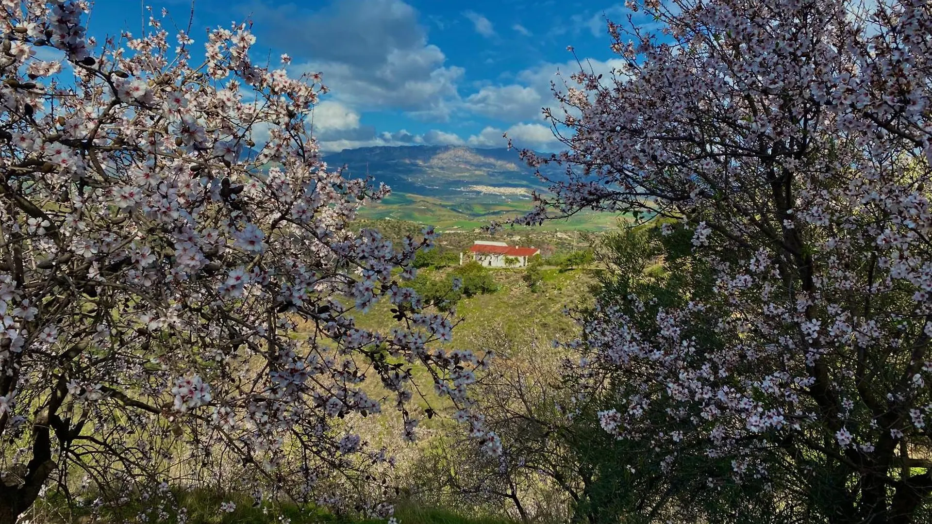 Chalet El Sueno, Cortijo Andalusi Del Siglo XIX Villa Almogia