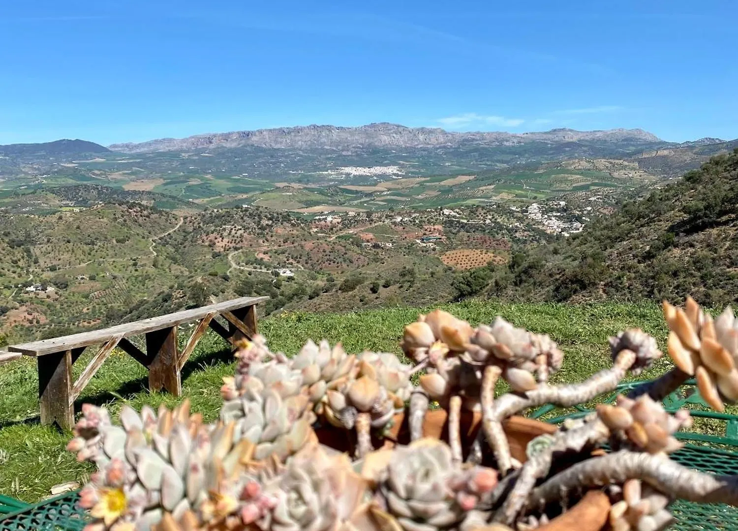 Chalet El Sueno, Cortijo Andalusi Del Siglo XIX Villa Almogia